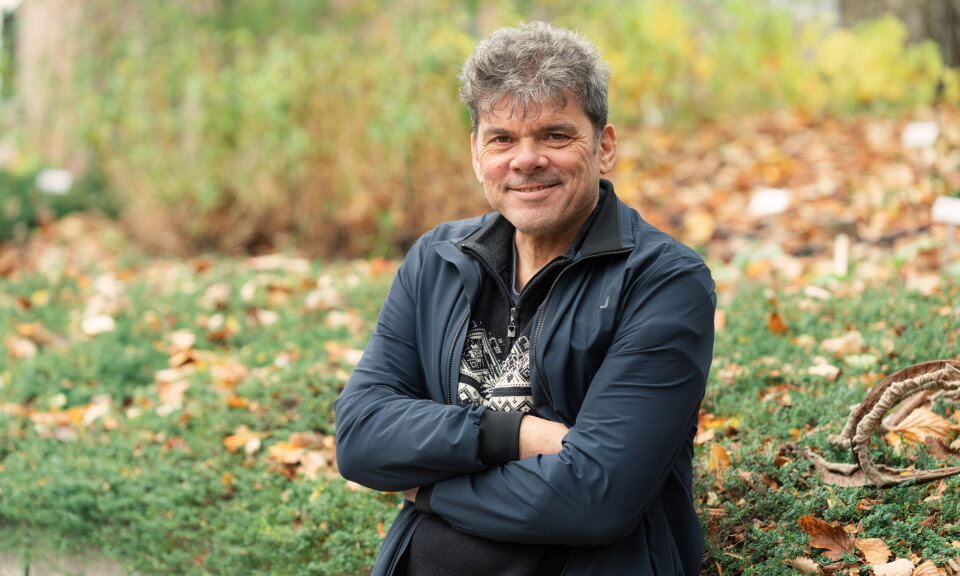 Ny bok: En annerledes historie om gråspurven