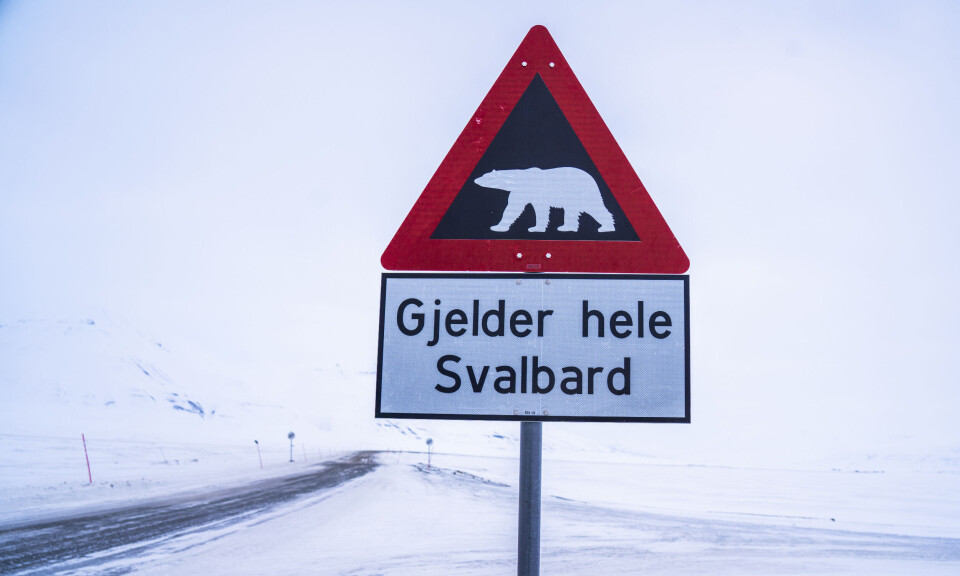 Sendte ut isbjørn-advarsel på Svalbard
