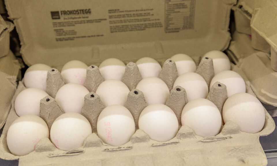 Nortura med kompensasjon til 3.700 kunder