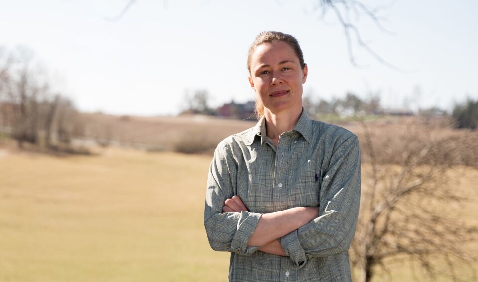 – Det må sendes et tydelig signal i årets jordbruksoppgjør som motiverer til økt økologisk produksjon, understreker Stina Mehus, styreleder i Økologisk Norge. – Det må sendes et tydelig signal i årets jordbruksoppgjør som motiverer til økt økologisk produksjon, understreker Stina Mehus, styreleder i Økologisk Norge..