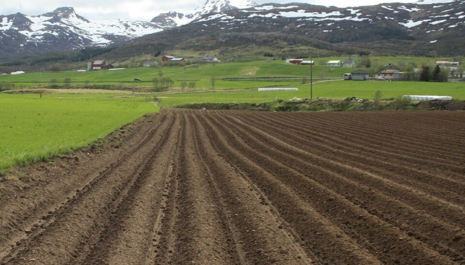 Bare 58 dekar dyrket jord ble ført tilbake til landbruksformål i fjor, viser de endelige Kostra-tallene. Det er betydelig mindre enn i 2023. Det året ble det nemlig tilbakeført 504 dekar. Bare 58 dekar dyrket jord ble ført tilbake til landbruksformål i fjor, noe som er betydelig mindre enn i 2023. Det året ble det tilbakeført 504 dekar.