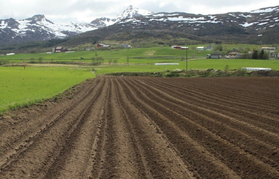 Bare 58 dekar dyrket jord ble ført tilbake til landbruksformål i fjor, betydelig mindre enn i 2023 hvor det ble tilbakeført 504 dekar. Bare 58 dekar dyrket jord ble ført tilbake til landbruksformål i fjor, noe som er betydelig mindre enn i 2023. Det året ble det tilbakeført 504 dekar.