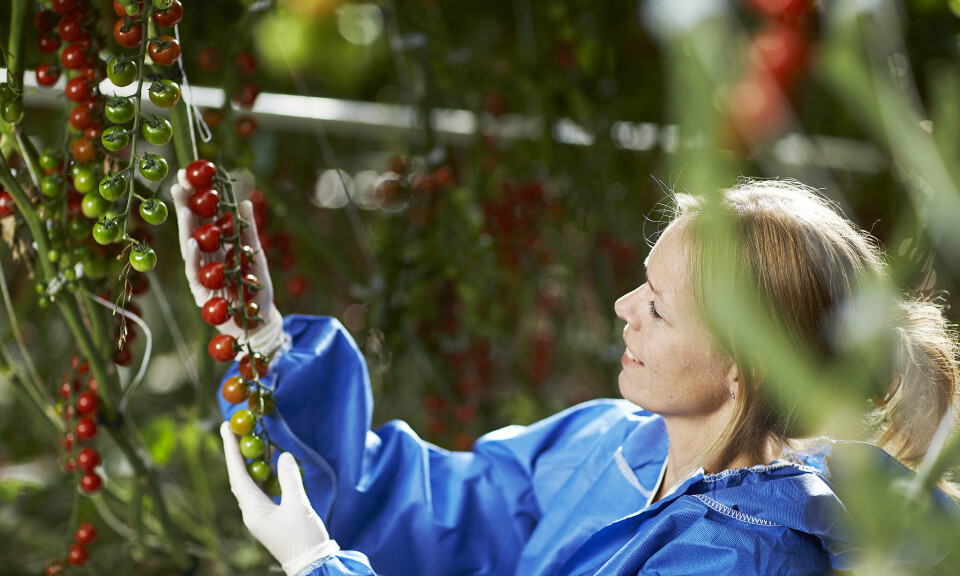Vil fjerne avgiften på øko-sertifisering