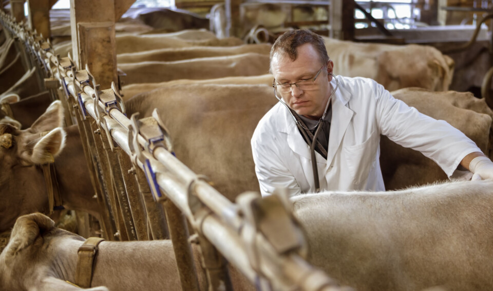 Konkurransetilsynet undersøker om det har foregått et ulovlig samarbeid mellom veterinærklinikker i strid med konkurranseloven. Konkurransetilsynet undersøker om det har foregått et ulovlig samarbeid mellom veterinærklinikker i strid med konkurranseloven.