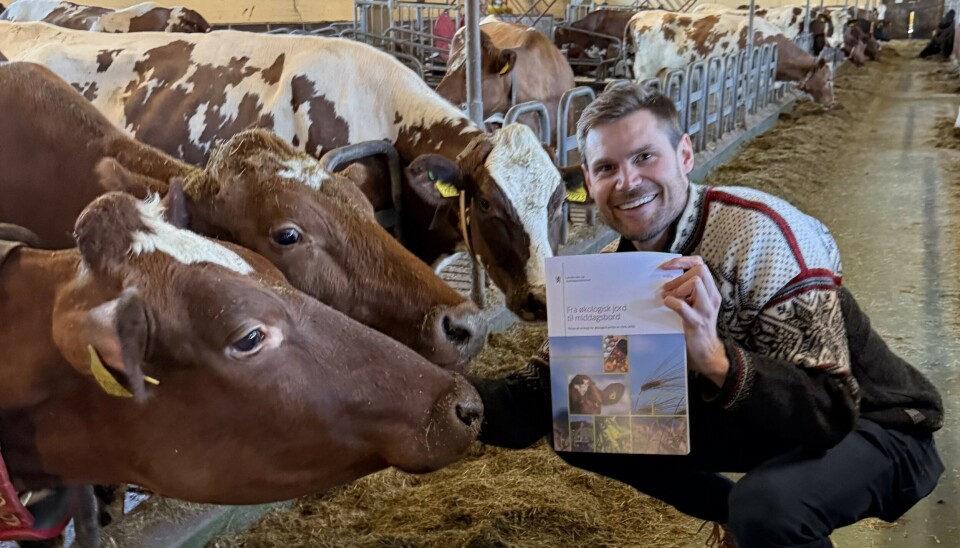 Landbruks- og matminister Nils Kristen Sandtrøen (Ap) med den reviderte nasjonale strategien for økologisk jordbruk for perioden 2025 til 2032. Her under lanseringen på Bygdø Kongsgård, hovedstadens største produsent av økologisk melk. Landbruks- og matminister Nils Kristen Sandtrøen (Ap) med den reviderte nasjonale strategien for økologisk jordbruk for perioden 2025 til 2032. Her på Bygdø Kongsgård som driver blant annet med økologisk melkeproduksjon.