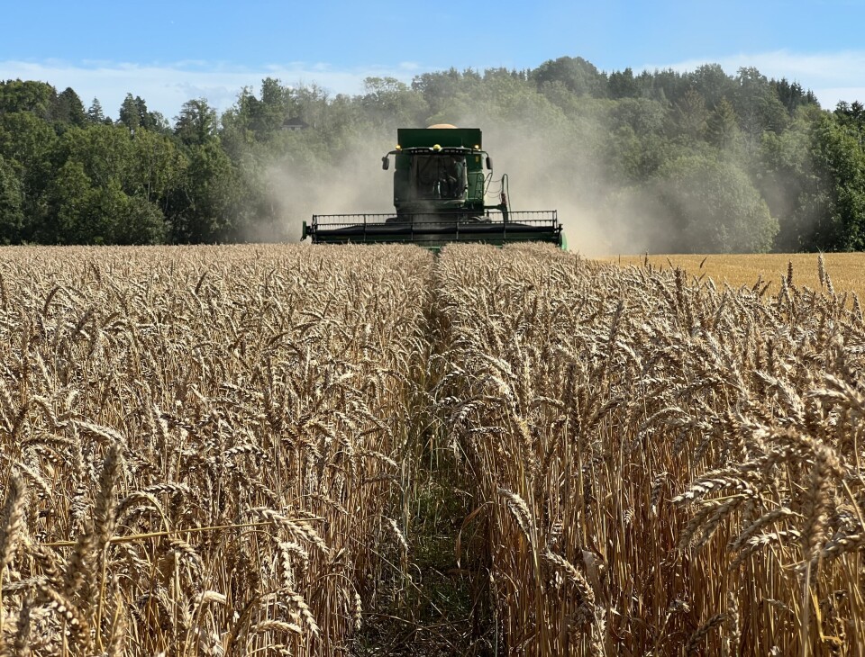 – Når en tredjedel av befolkningen uttrykker bekymring for mattilgangen, er det et tydelig signal om at matberedskap og sjølforsyning må tas på alvor, mener styreleder Jens Lippestad i Felleskjøpet Agri. – Når en tredjedel av befolkningen uttrykker bekymring for mattilgangen, er det et tydelig signal om at matberedskap og sjølforsyning må tas på alvor, mener styreleder Jens Lippestad i Felleskjøpet Agri.