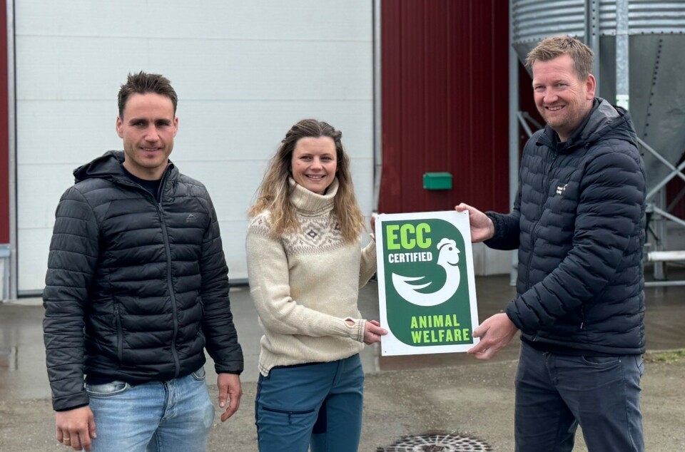 Trine Rennan og Fredrik Øksnes fra Beistad i Steinkjer kommune tok over driften i januar i år. Her med det synlige beviset på at de har oppgradert kyllingproduksjonen til ECC-standard. Til høyre Tor Inge Lien, direktør for produksjon og dyrevelferd hos Norsk Kylling. Trine Rennan og Fredrik Øksnes fra Beistad i Steinkjer kommune tok over driften i januar i år. Her med det synlige beviset på at de har oppgradert kyllingproduksjonen til ECC-standard. Til høyre Tor Inge Lien, direktør for produksjon og dyrevelferd hos Norsk Kylling.