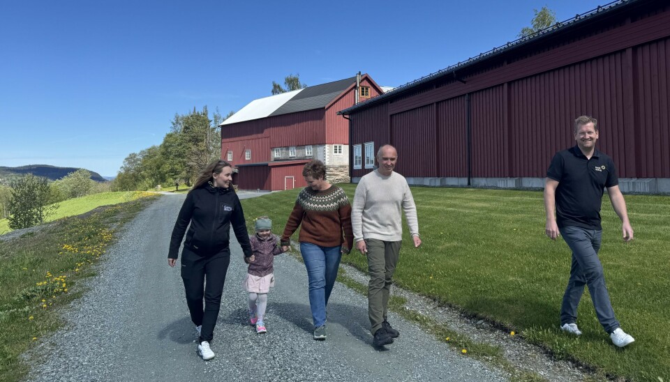 Norsk Kyllings Tor Inge Lien på besøk hos familien Solstad i Skaun kommune. Fra venstre Mari Solstad, Ella Solstad Stegavik, Per Ivar Solstad, Tanja Stamnsve og Tor Inge Lien. Norsk Kylling er glad for å kunne bidra til å opprettholde produksjonen på flere gårder i Trøndelag. Her på besøk hos familien Solstad i Skaun kommune. Fra venstre Mari Solstad, Ella Solstad Stegavik, Per Ivar Solstad, Tanja Stamnsve og Tor Inge Lien, direktør for produksjon og dyrevelferd i Norsk Kylling.