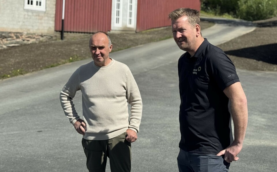 Per Ivar Solstad (til venstre) skal årlig levere 150.000 kyllinger til Norsk Kylling. Per Ivar Solstad (til venstre) har inngått en avtale med Norsk Kylling om en årlig produksjon av 150.000 kyllinger.
