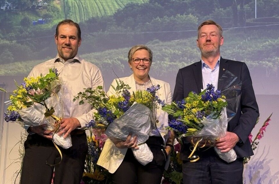 Den nye ledertrioen i Norges Bondelag: fra venstre nyvalgt 2. nestleder Konrad Johan Kongshaug, 1. nestleder Bodhild Fjelltveit og leder Bjørn Gimming. Den nye ledertrioen i Norges Bondelag: fra venstre nyvalgt 2. nestleder Konrad Johan Kongshaug, 1. nestleder Bodhild Fjelltveit og leder Bjørn Gimming.