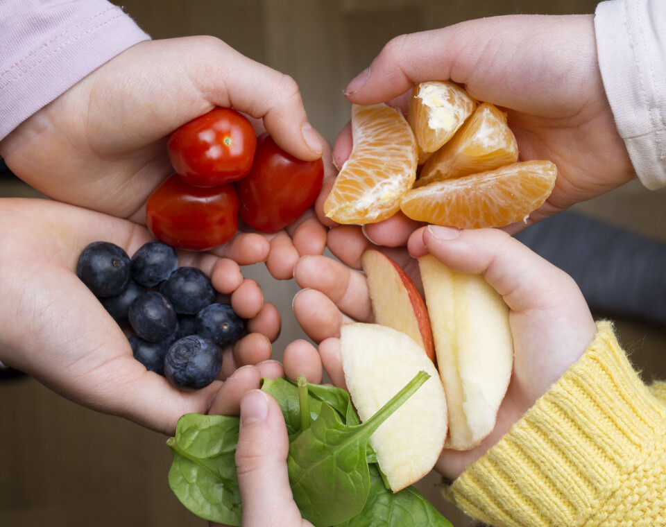 Hele 1,3 millioner nordmenn glemmer rett og slett å spise grønnsaker, mener Opplysningskontoret for frukt og grønt. Hele 1,3 millioner nordmenn glemmer rett og slett å spise grønnsaker, mener Opplysningskontoret for frukt og grønt.