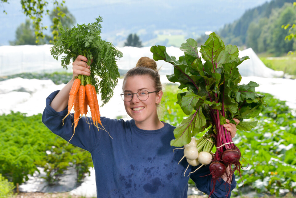 Elisabeth Fagerland driver Grønt fra Grindal sammen med samboeren Sigurd Vassenden. Norge har behov for flere grønnsaksprodusenter som dem. Elisabeth Fagerland driver Grønt fra Grindal sammen med samboeren Sigurd Vassenden. Norge har behov for flere grønnsaksprodusenter som dem.