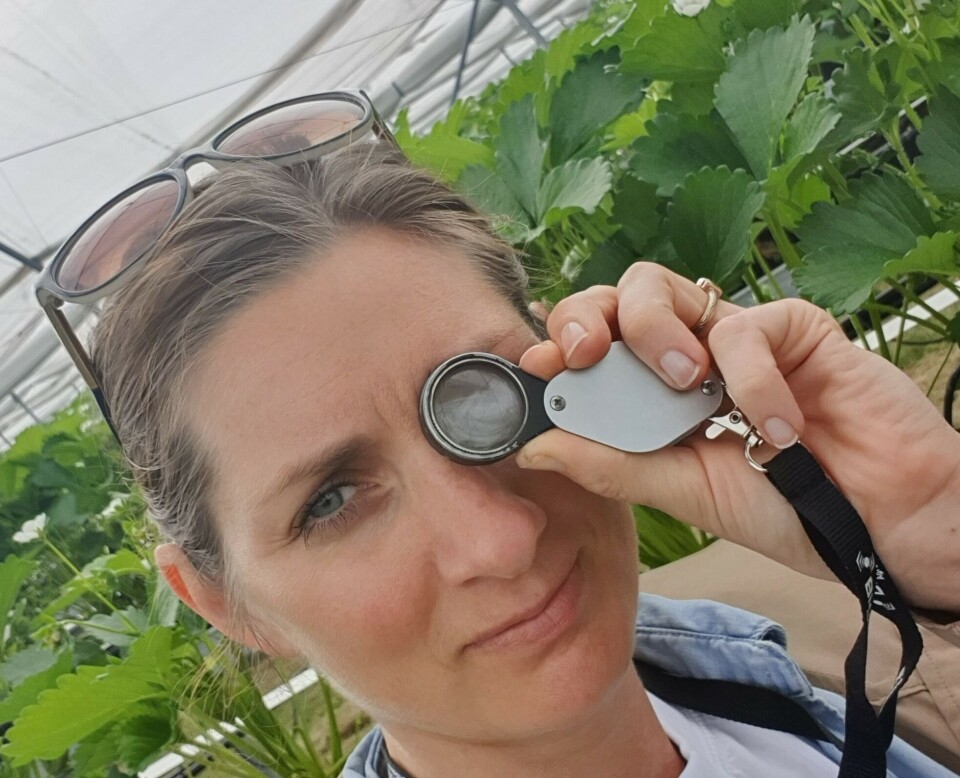 Silje Stenstad Nilsen, gründer og grønn leder i Biologisk AS, brenner for biologisk plantevern. Hun skal holde foredrag på høstkonferansen. Kommer du for å høre på? Selfie: Silje Stenstad Nilsen Silje Stenstad Nilsen, gründer og grønn leder i Biologisk AS, brenner for biologisk plantevern. Hun skal holde foredrag på høstkonferansen. Hører du på?