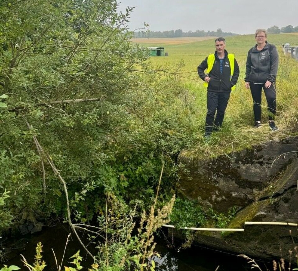 Forsker Roger Holten og senioringeniør Randi Bolli forteller at det samlede bildet viser at risikoen for at plantevernmidler renner ut i grunnvannet mange er betydelig mange steder i landet. Forsker Roger Holten og senioringeniør Randi Bolli forteller at det samlede bildet viser at risikoen for at plantevernmidler renner ut i grunnvannet mange er betydelig mange steder i landet.