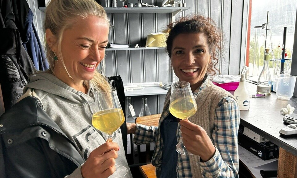 Perfekt norsk aperitiff