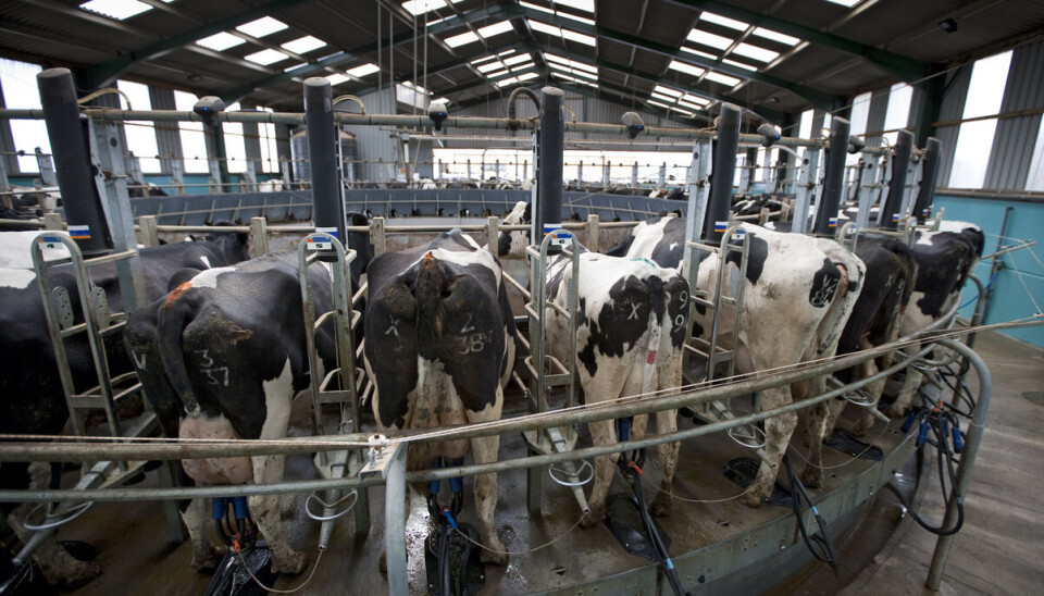Mobilmelkere er en viktig reserveløsning for melkebønder når strømmen skulle gå, framhever Felleskjøpet Agri. Mobilmelkere er en viktig reserveløsning for melkebønder når strømmen skulle gå, framhever Felleskjøpet Agri.