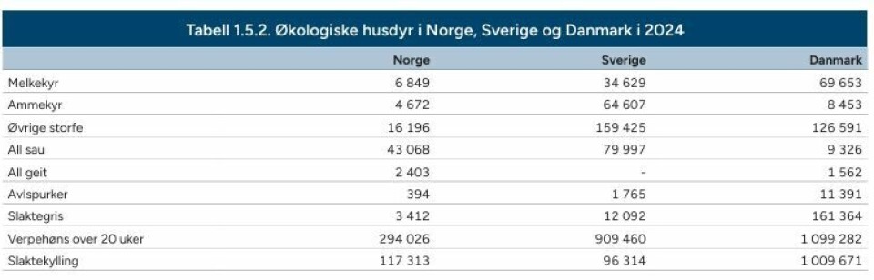 Det kan forekomme unøyaktigheter i tallmaterialet, da de ulike landene bruker ulike kategorier på klassene innenfor hvert dyreslag, opplyser Animalia. Tabellen er hentet fra rapporten «Kjøttets tilstand 2025». Det kan forekomme unøyaktigheter i tallmaterialet, da de ulike landene bruker ulike kategorier på klassene innenfor hvert dyreslag, opplyser Animalia. Tabellen er hentet fra rapporten «Kjøttets tilstand 2025».