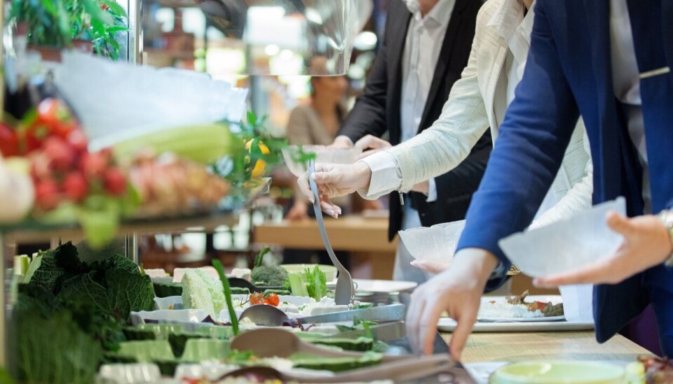 Flere av kommunene i Vestfold har i mange år vært opptatt av lokal og økologisk produsert mat.