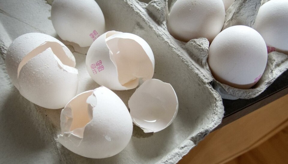 Over 670 tonn med egg ble tilbakekalt. Mange forbrukere var bekymret fordi de fryktet at de hadde fått i seg egg med helsefarlig høye verdier av vitamin D. I tillegg måtte 60.000 høner og 2.800 griser bøte med livet på grunn av produksjonsfeilen. Illustrasjonsfoto: Gorm Kallestad | NTB scanpix