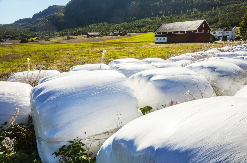 Bøndene er blitt flinke til å levere tilbake landbruksplast etter bruk. Her rundballer på et jorde i Sigdal kommune i Buskerud.