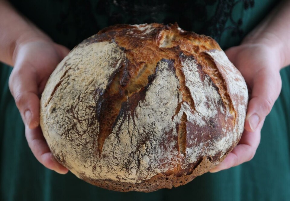 Surdeigsbrød – laget i Norge, eller i utlandet?
