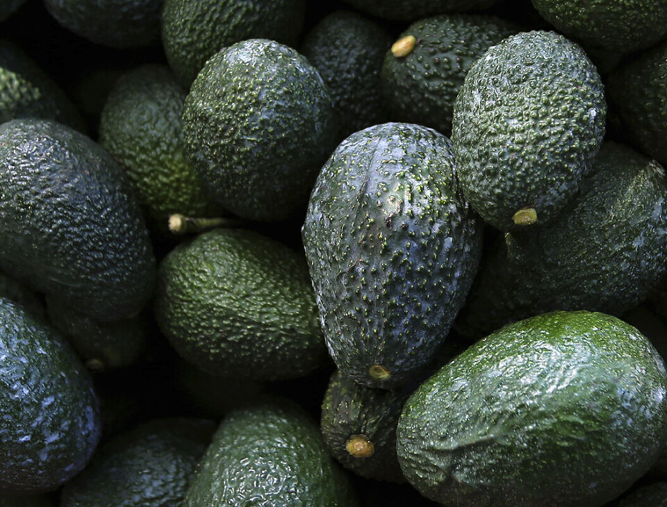 Gjett hvem som er mest glad i avocado?
