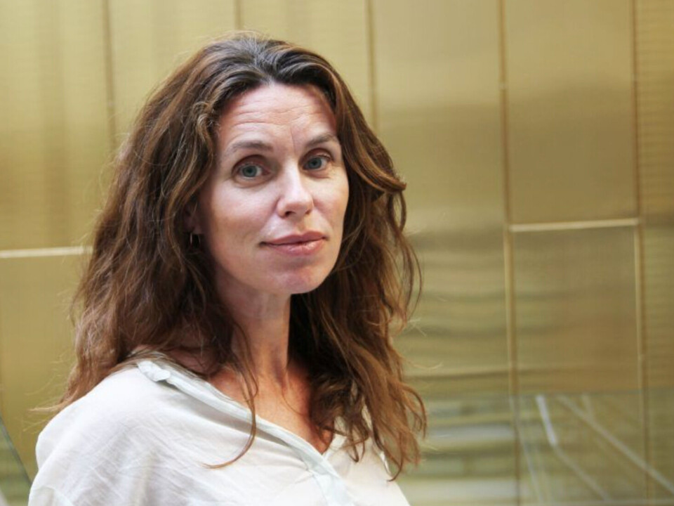 Kjedene tjente mer på sjokolade og snacks enn på kjøtt, sier Beate Milford Berrefjord ved Konkurransetilsynets avdeling for mat, handel og helse.