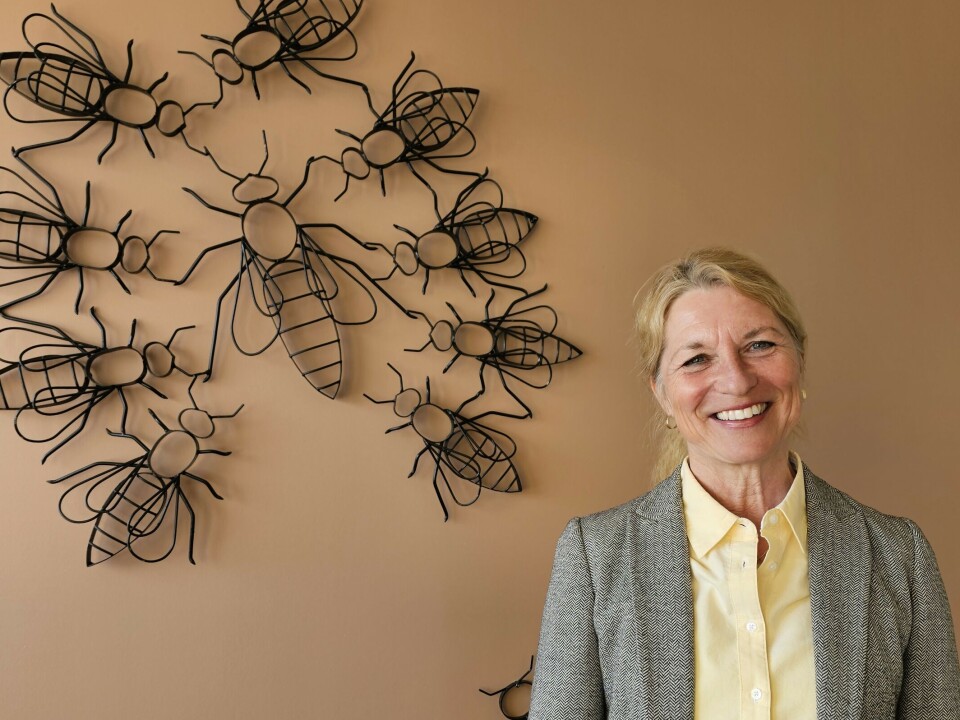 Katrine Røed Meberg, generalsekretær i Norges Birøkterlag Norges Birøkterlag har ansatt Katrine Røed Meberg som generalsekretær.