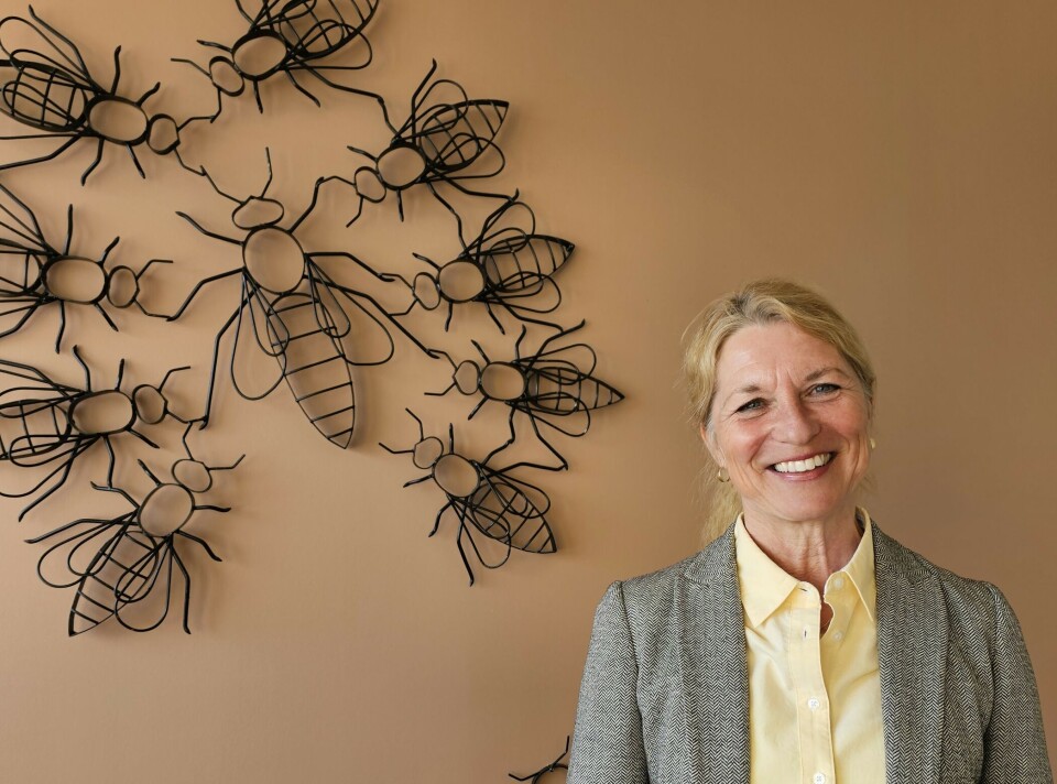 Katrine Røed Meberg. Norges Birøkterlag har ansatt Katrine Røed Meberg som generalsekretær.
