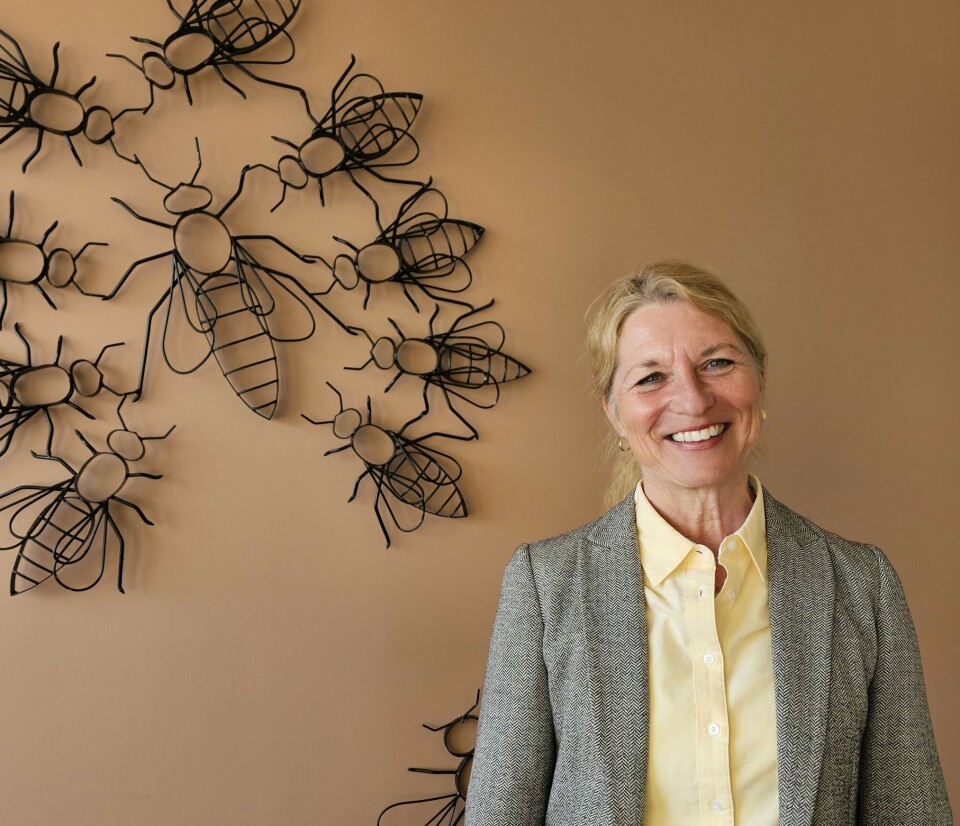 – Vi ser at det rører på seg, men vi kan gjøre mye mer, mener generalsekretær Katrine Røed Meberg. Norges Birøkterlag er veldig fornøyd med samarbeidet med MatPrat. Norges Birøkterlag har ansatt Katrine Røed Meberg som generalsekretær.